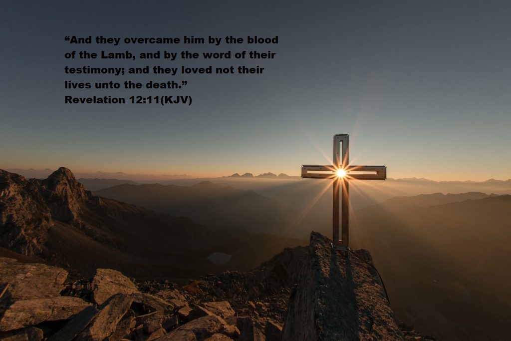 eberhard-grossgasteiger-398985-1024x683